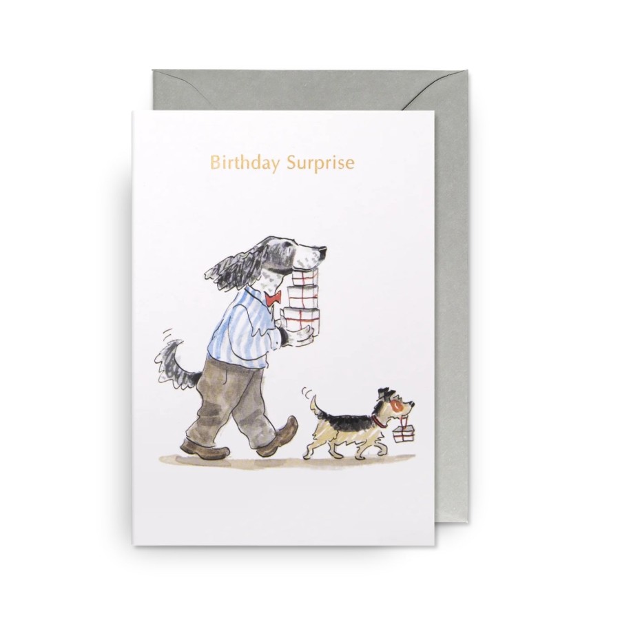 Bode Living Birthday Surprise Illustrated Dogs Greeting Card Greeting Cards