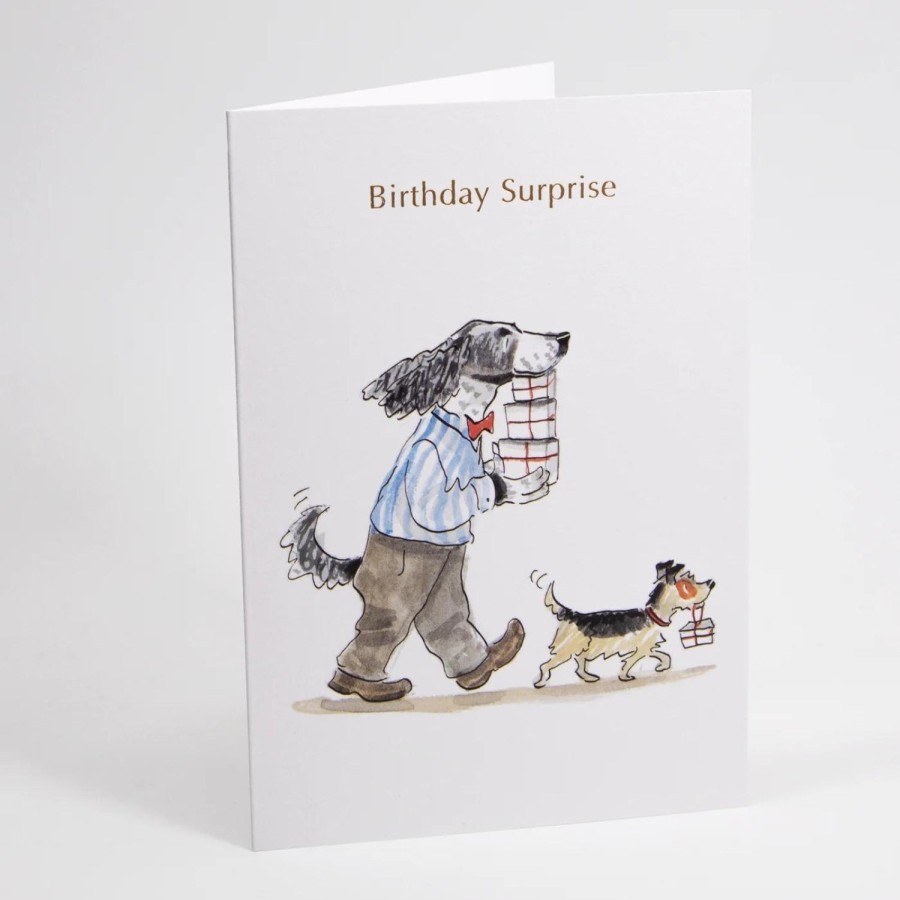 Bode Living Birthday Surprise Illustrated Dogs Greeting Card Greeting Cards